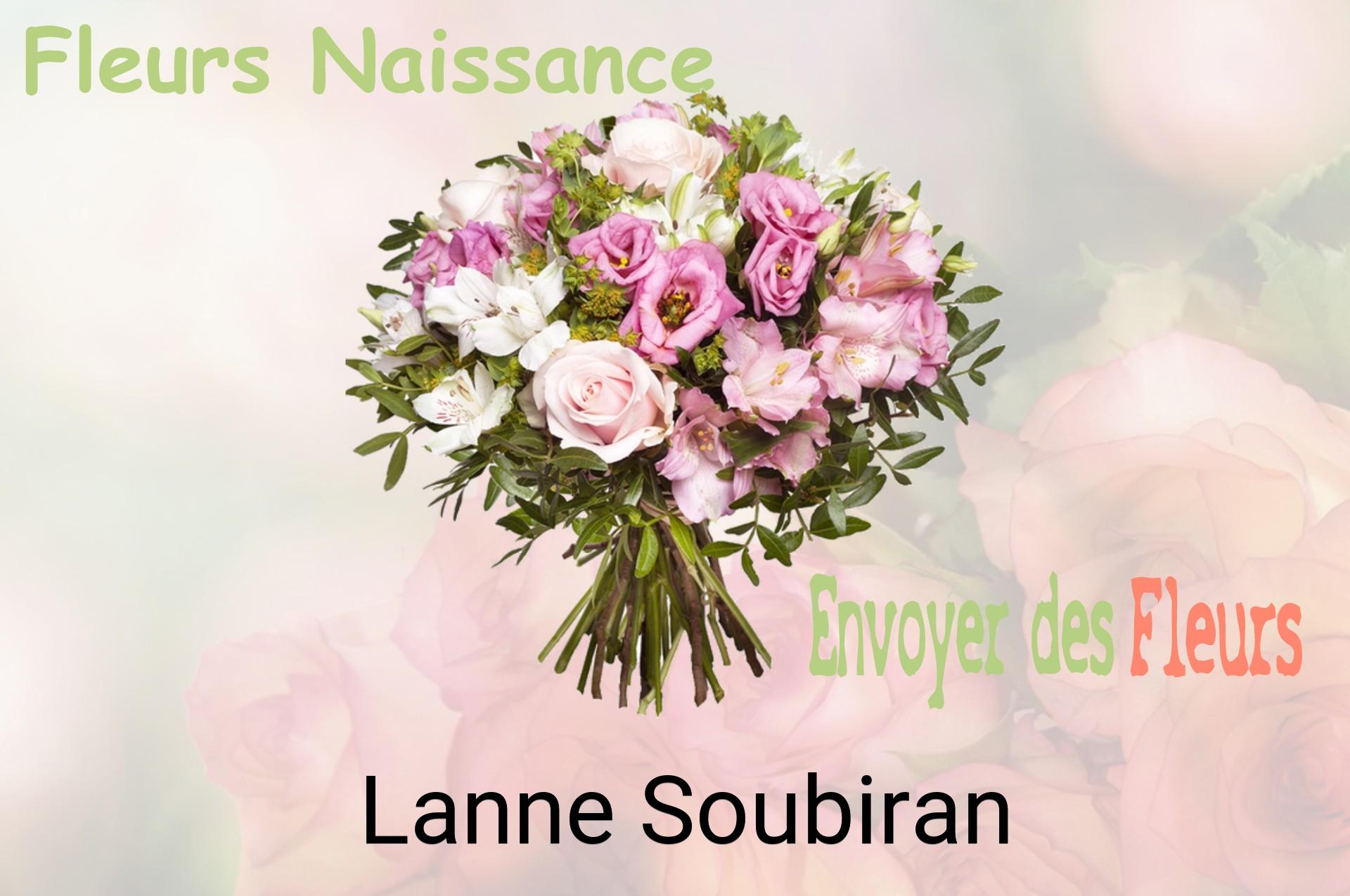 Bouquet de fleurs de naissance livré à Lanne-Soubiran